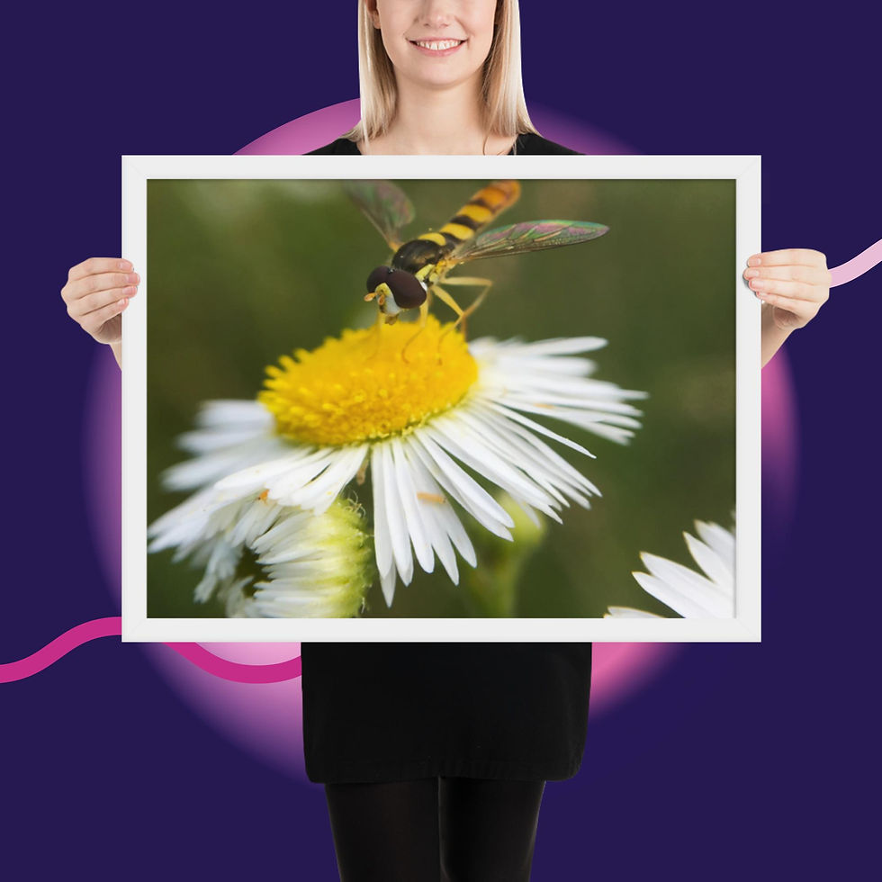 Thumbnail: Framed poster