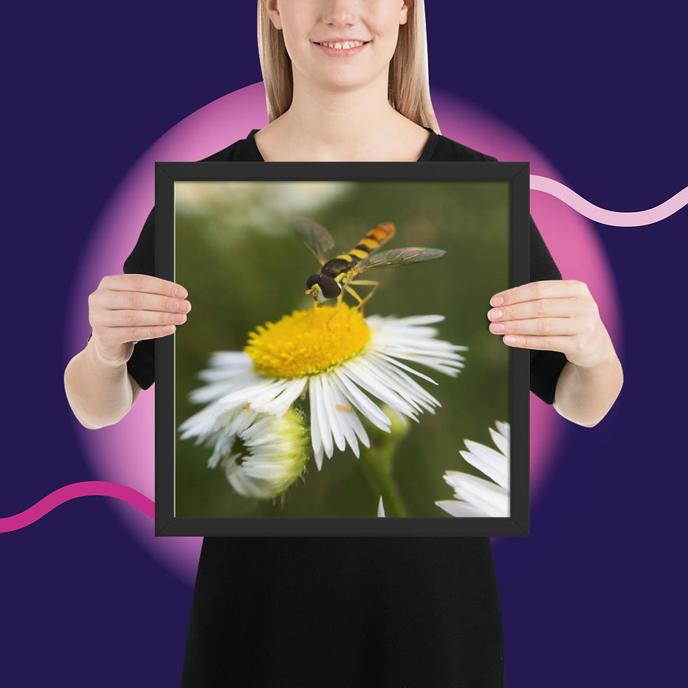 Thumbnail: Framed poster