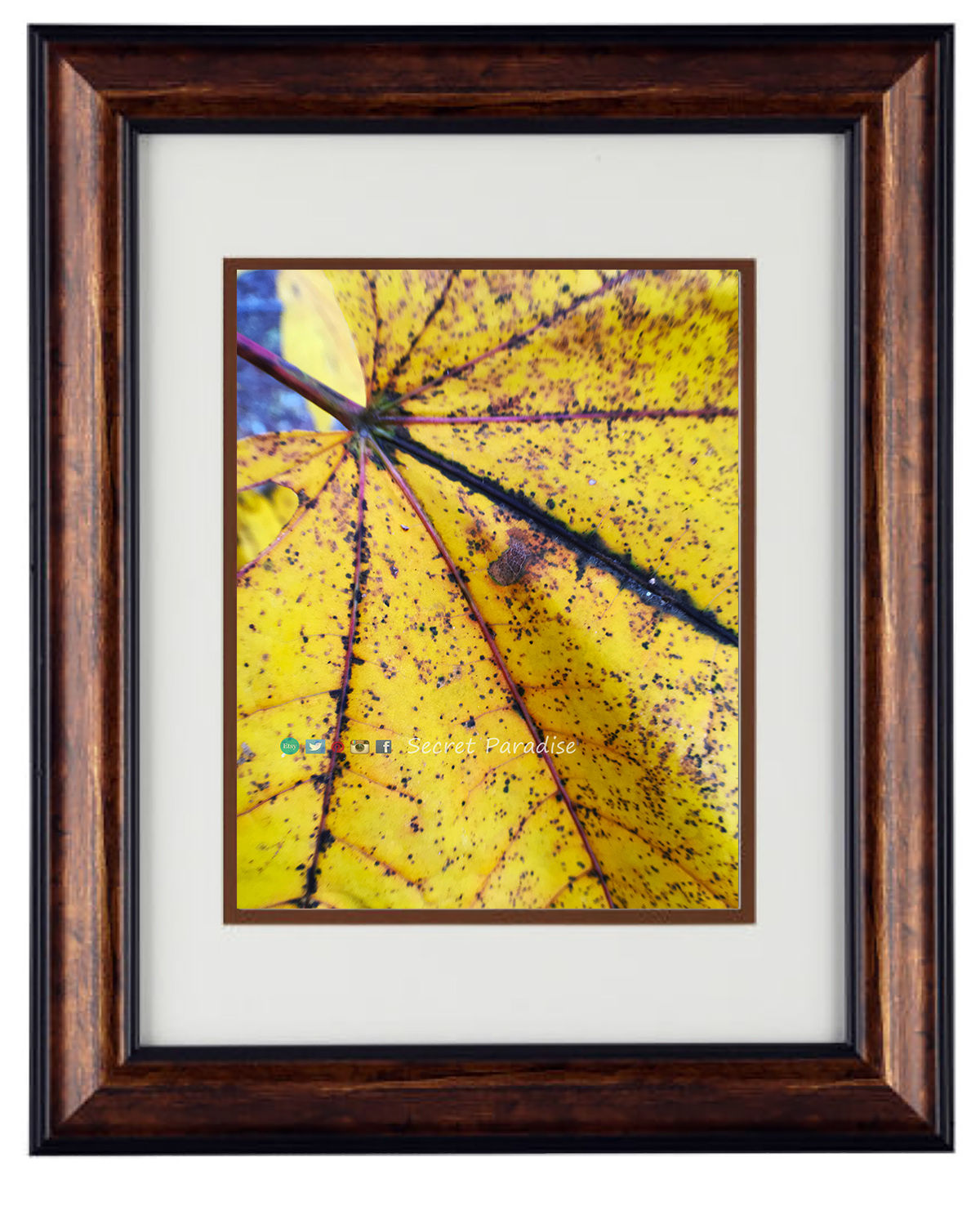 Art Prints framed from a Secret Paradise