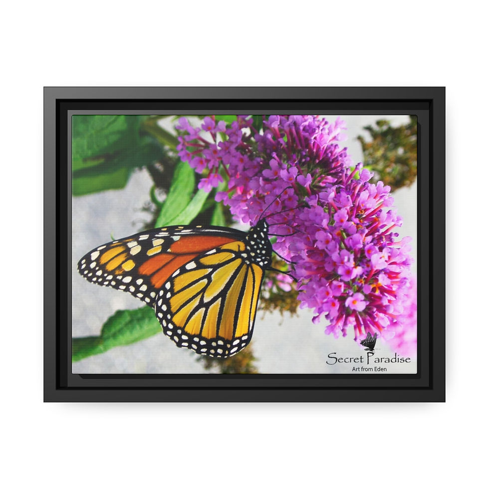 Thumbnail: Matte Canvas, Black Frame