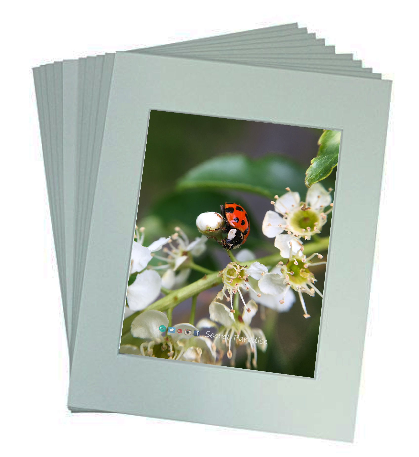 Photo Art Prints from a Secret Paradise