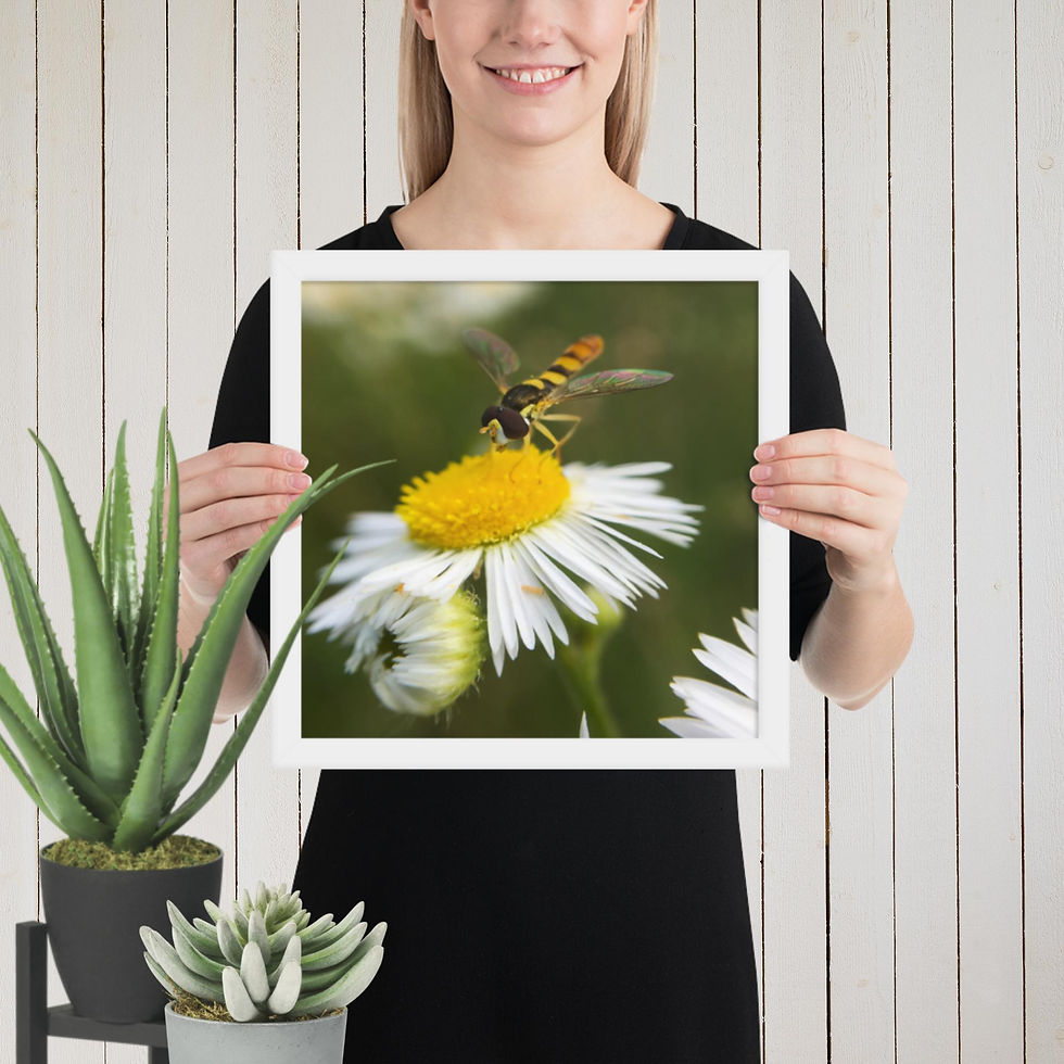 Thumbnail: Framed poster