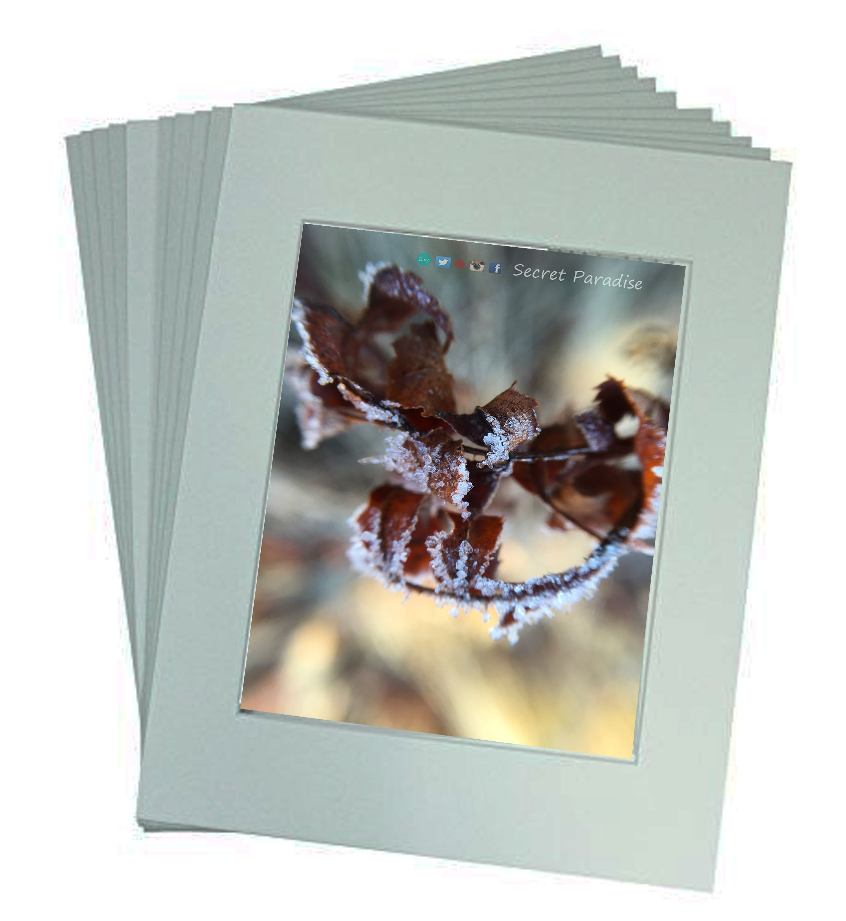 Winter Prints from a Secret Paradise