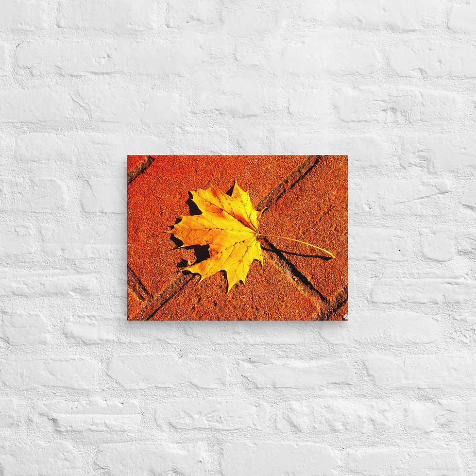 Thumbnail: Canvas