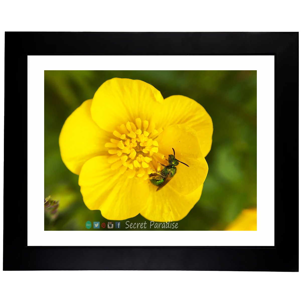 Framed Art Prints from a Secret Paradise