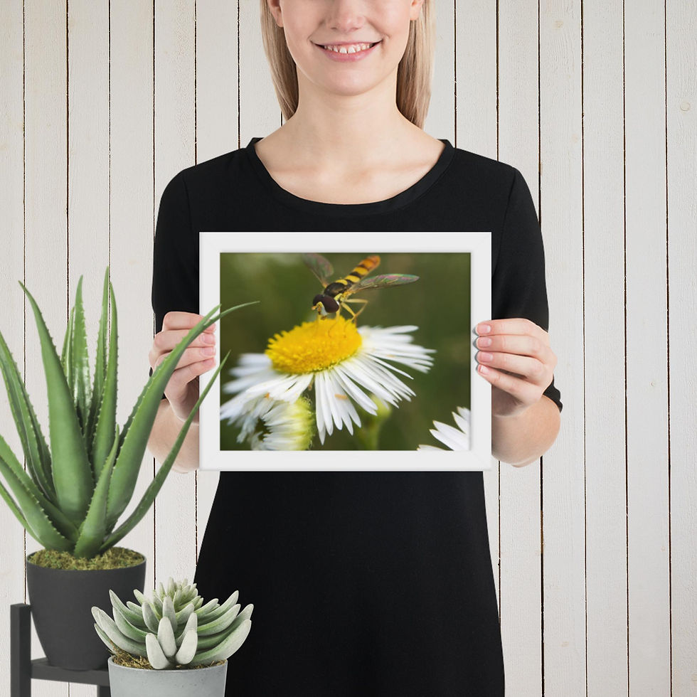 Thumbnail: Framed poster