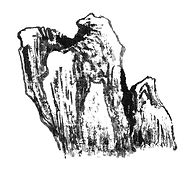 41e339e46c1a7b48d510055a9da4bf6c_edited.