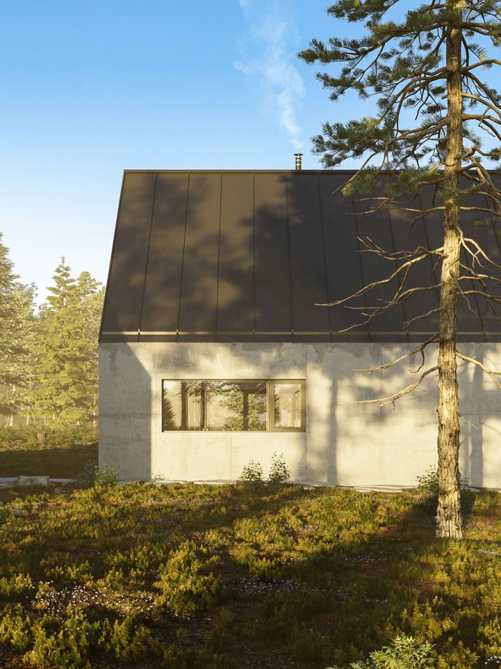 3D vizualizácia moderného domu v lese a garážou s dreveným obkladom