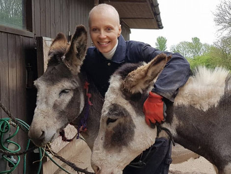 A dream of donkeys!