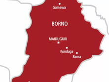 Nine Killed in Borno State as IED Explosion Hits Local Bus Stop in Guzamala