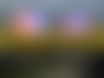 Stolen Camaro Crashes into Bus in San Antonio, Killing 4 and Injuring 18 Others