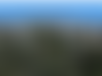 California Man, 94, Allegedly Murdered by Son-in-Law Who Was ‘Tired of Providing’ for Him