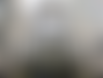 'Maniac Murder Cult' plotted to have person in Santa costume poison kids in New York City