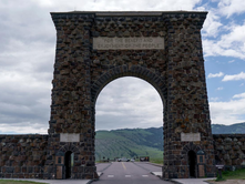 Yellowstone Visitor Gored by Bison in First Wildlife Attack of 2025 Summer Season