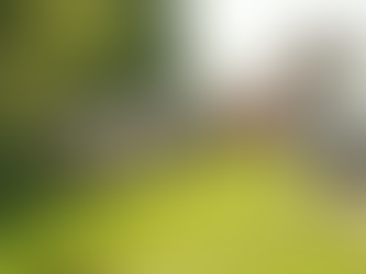 Five Dead, Dozens Injured After Niagara Falls Tour Bus Overturns on New York Interstate