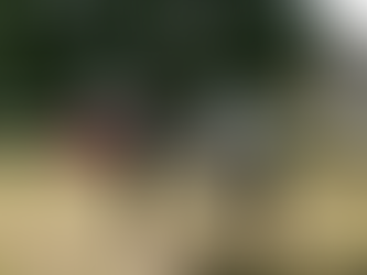 Medieval Re-Enactor Critically Injured After Sword Pierces Visor During Bodiam Castle Mock Battle