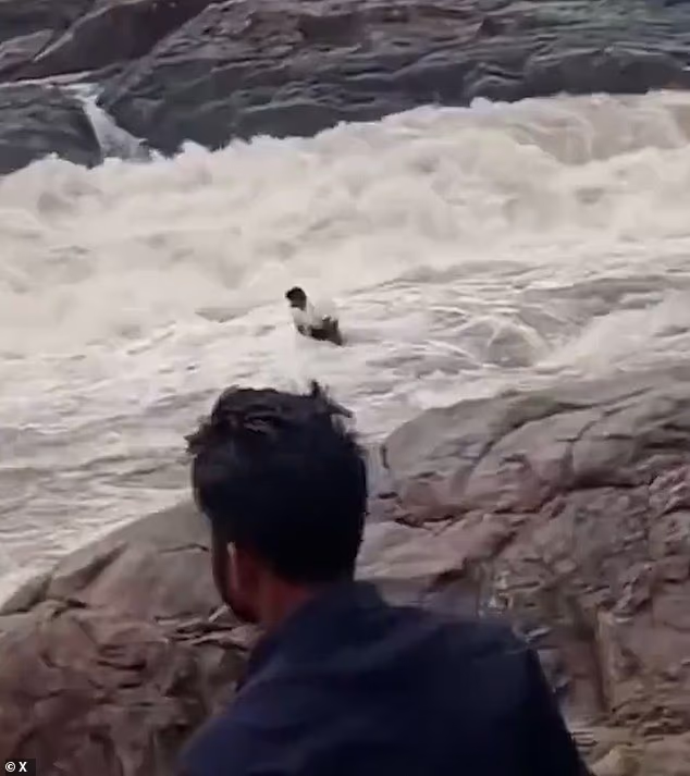 A chilling clip, which has since gone viral, shows how he was seen clinging desperately before being dragged away by the crushing current