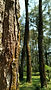 AdobeStock_1051163200.jpeg
