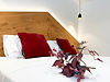 IMG_4191 modificata.jpg