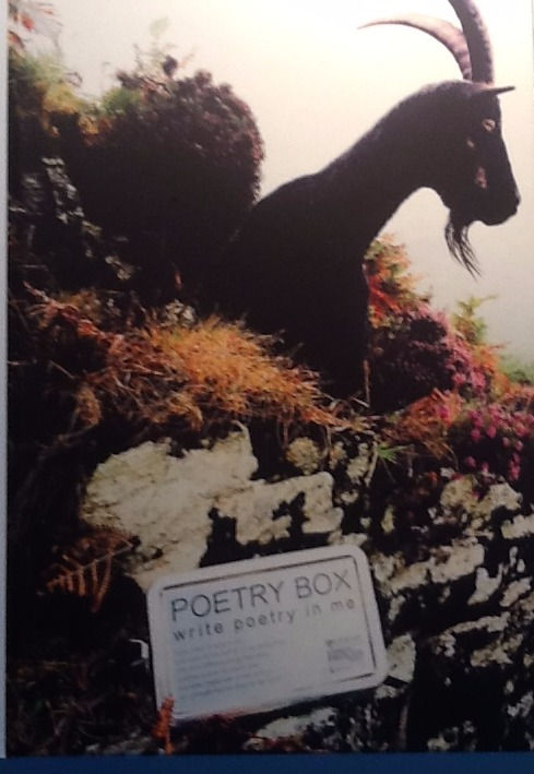 Number Seven in Dulverton, home of the Poetry Box