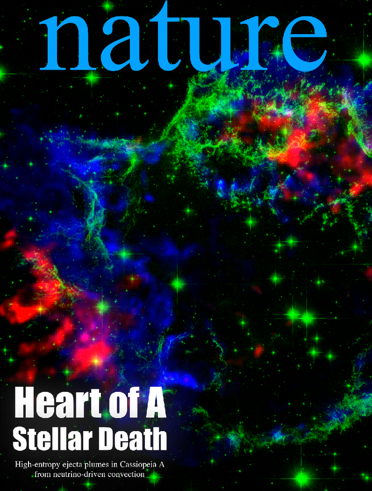 初めてのn誌への投稿と出版まで