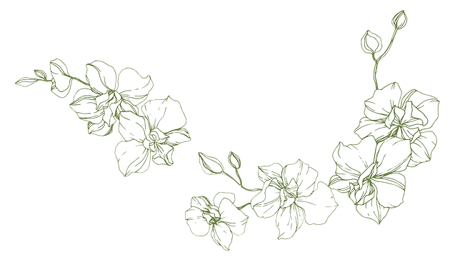 orquidea 1 camila e bruno.png