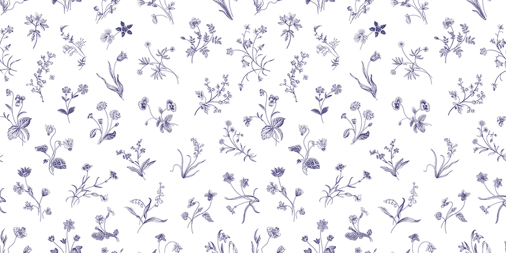 2padrao Angela e Sean.png