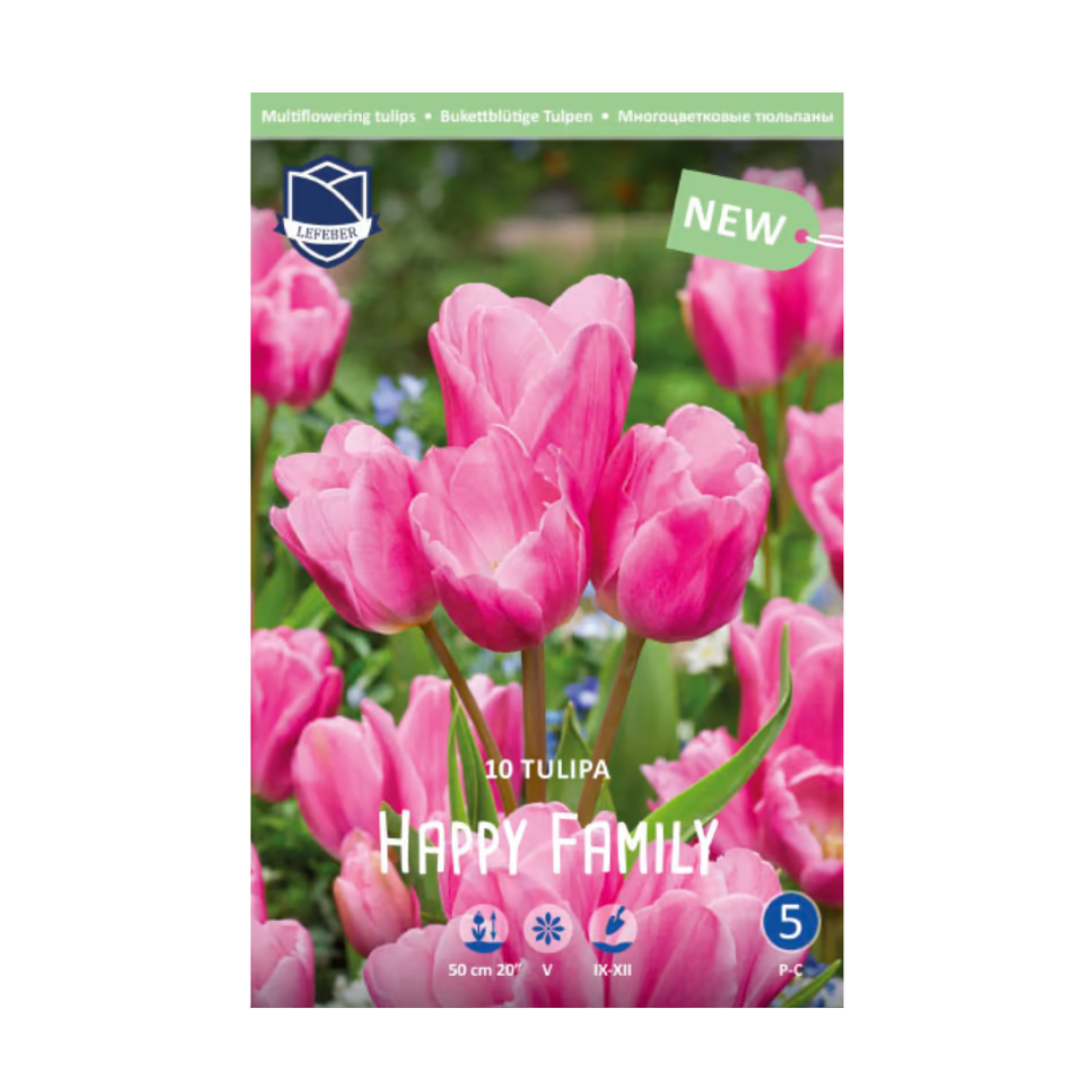 Tulipa Happy Family (10) - Лале