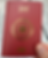 Hand holding a red LEGO Passport with a gold foil LEGO logo, globe-and-brick emblem, and small gold brick detail at the bottom, photographed outdoors on a marble tile surface.