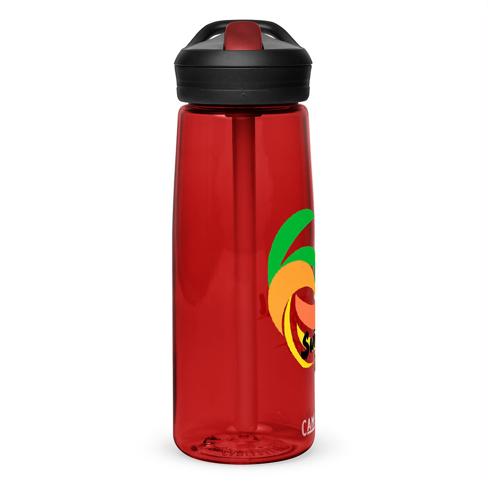 Sports water bottle