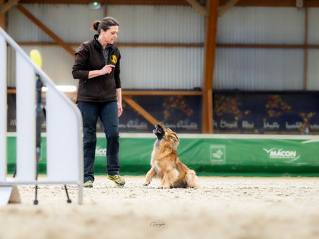 https://sportscanins.fr/calendrier/resultats_agility.php?suite=resultat&idconc=19067&epreuve=147&cat=I&classe=1