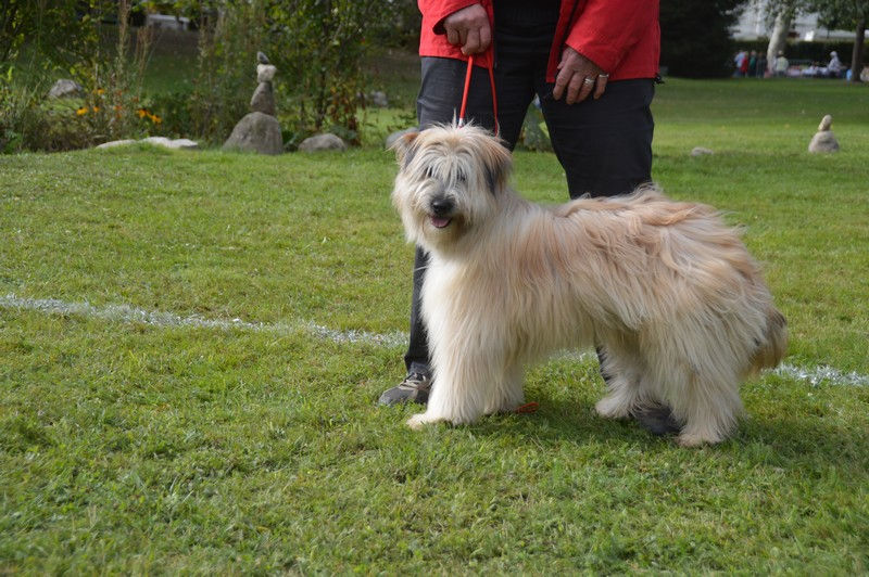 062_Malko_des_Ours_Dorés_DSC_8100