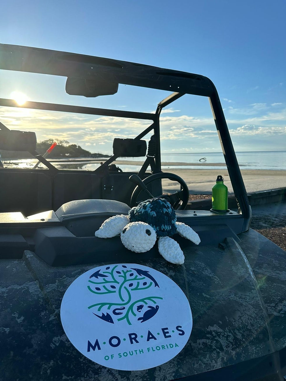 Media 2-34D01CF6-A05C-40A3-B11A-786CC4D683DF.jpg