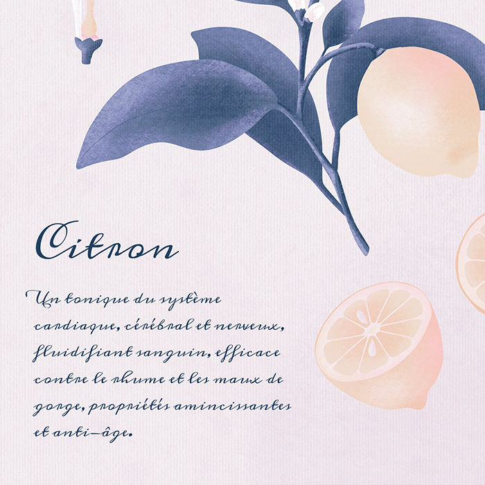 Miniature : Citron A5