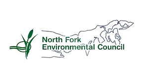 NFEC logo large_edited.png