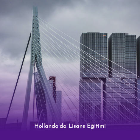 Hollandada Lisans Eğitimi