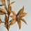 Thumbnail: Flower single stem