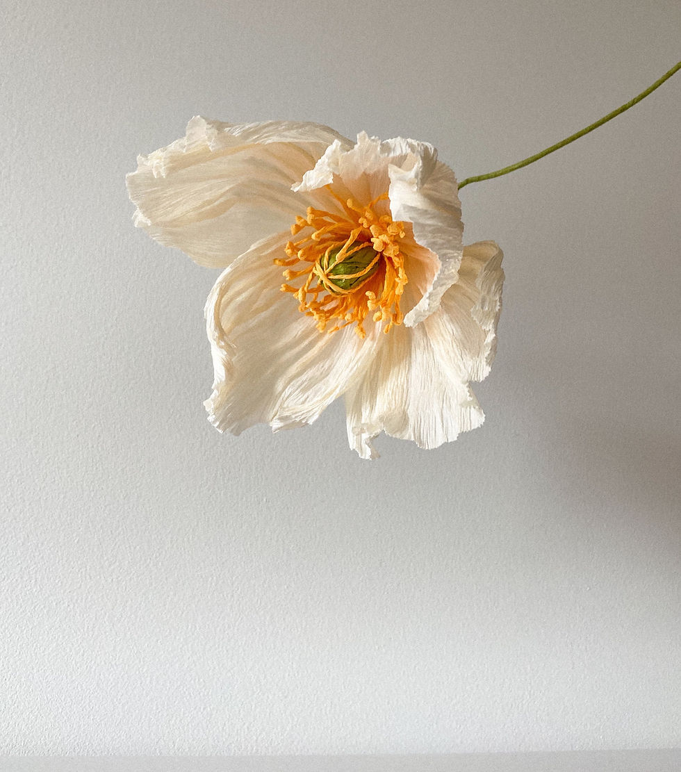 Thumbnail: Icelandic Poppy Single Stem