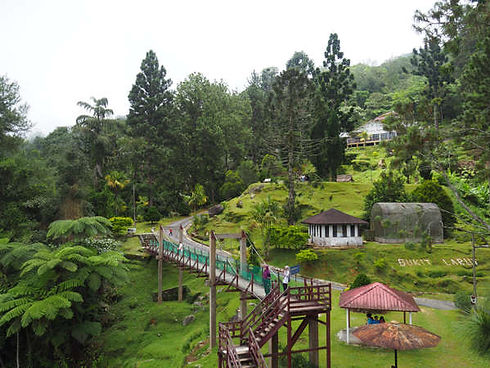 Zoomed-in-view-from-the-lookout-at-Maxwe