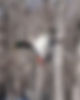 IMG_0078.jpeg