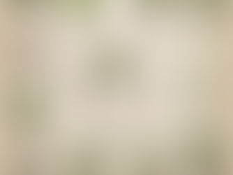 Why It's Crucial to Remove Stumps: The Key Reasons Unveiled