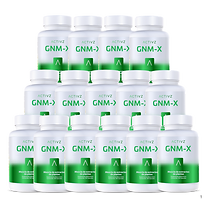 GNM-X Premium (1).png