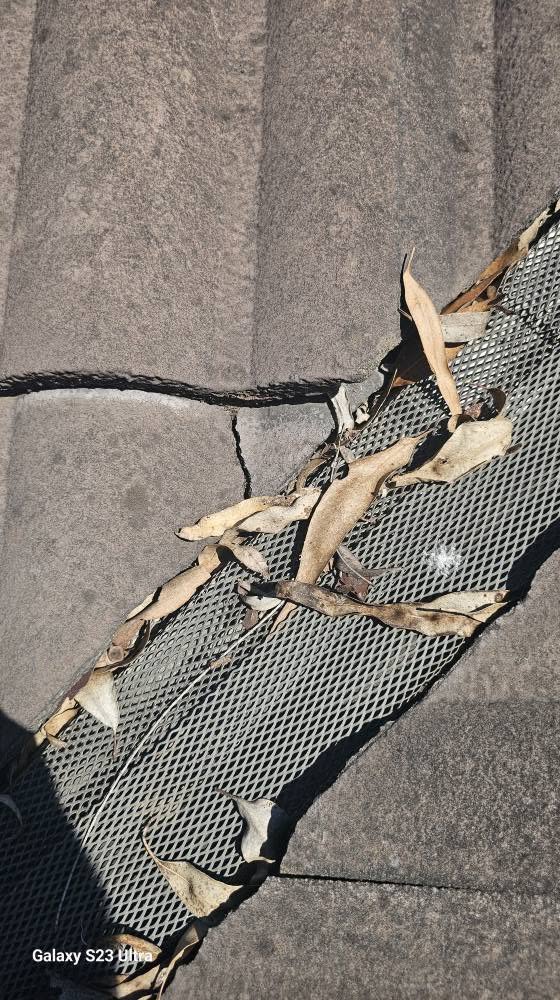 Gutter guard clogged with leaves and debris