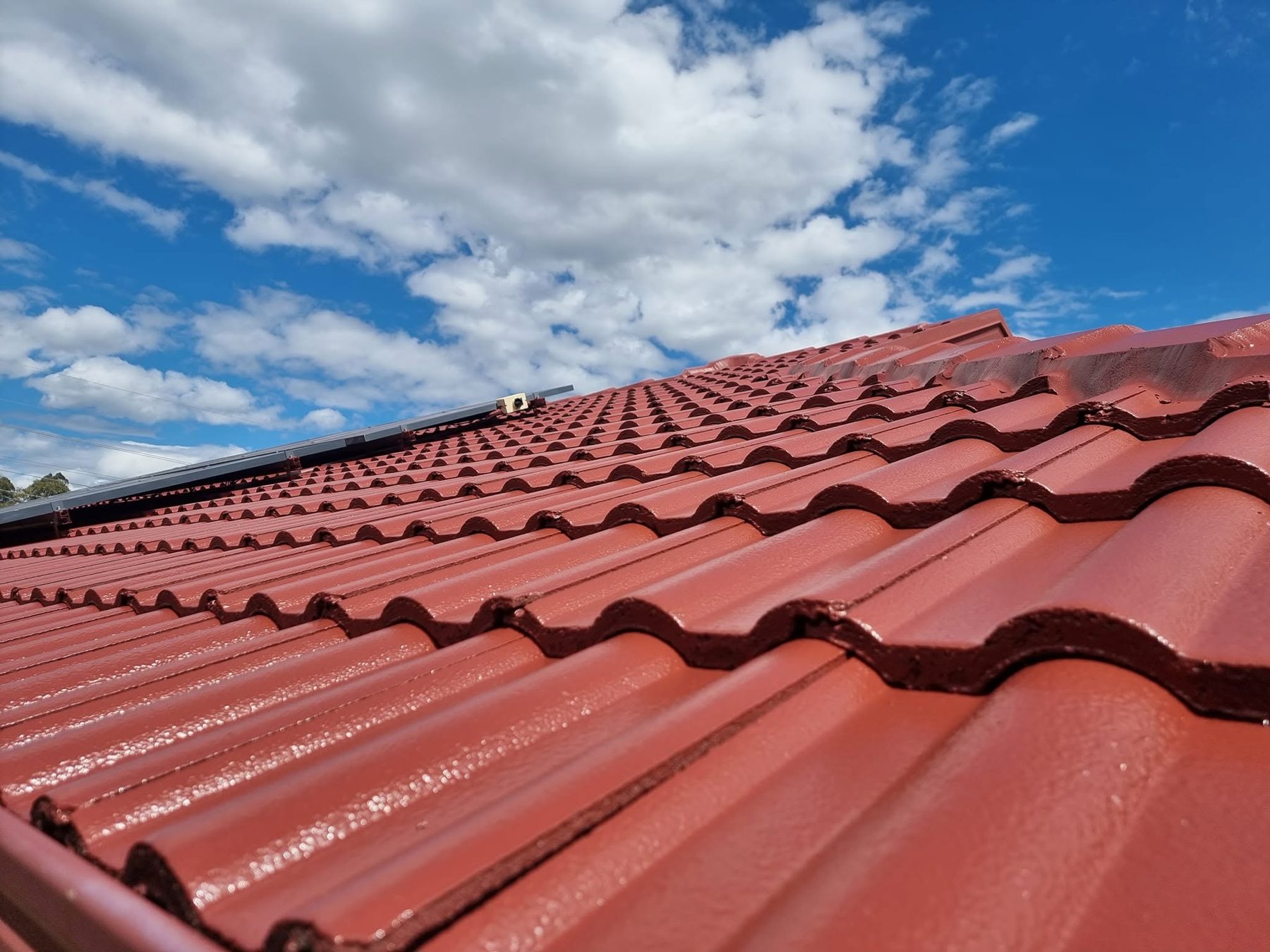 Freshly coated terracotta roof tiles under a blue sky