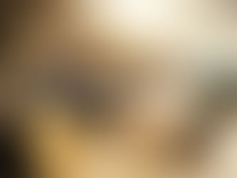 What happens in a coaching session?