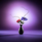 Ikebana_ZI_KA_DE-1.jpeg