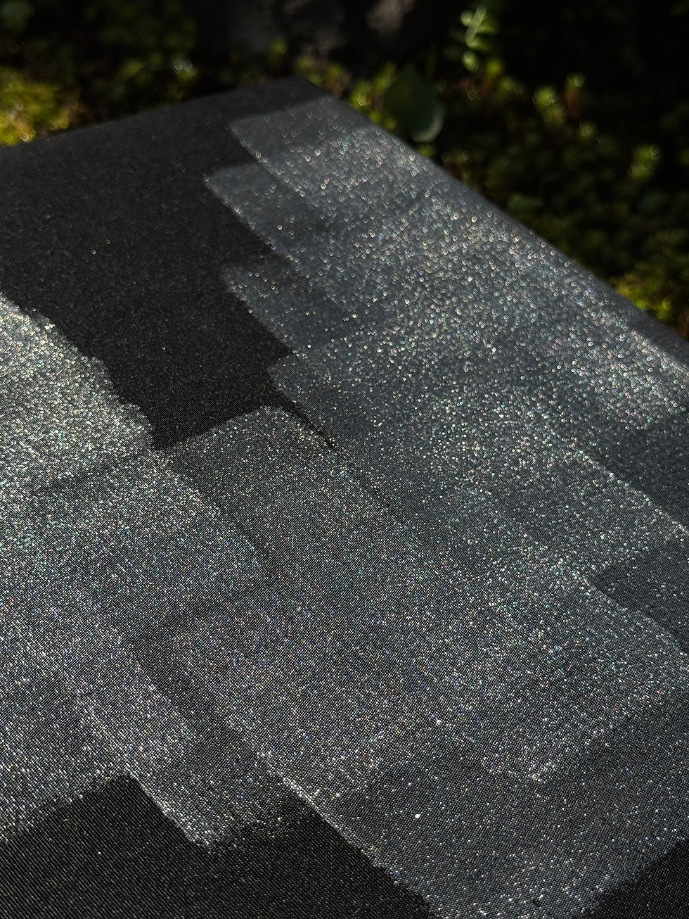 Thumbnail: Hakuichimatsu(600×300×180mm)