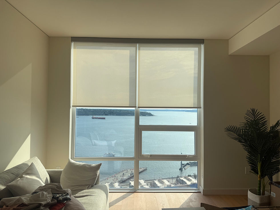 Roller shades2.JPG