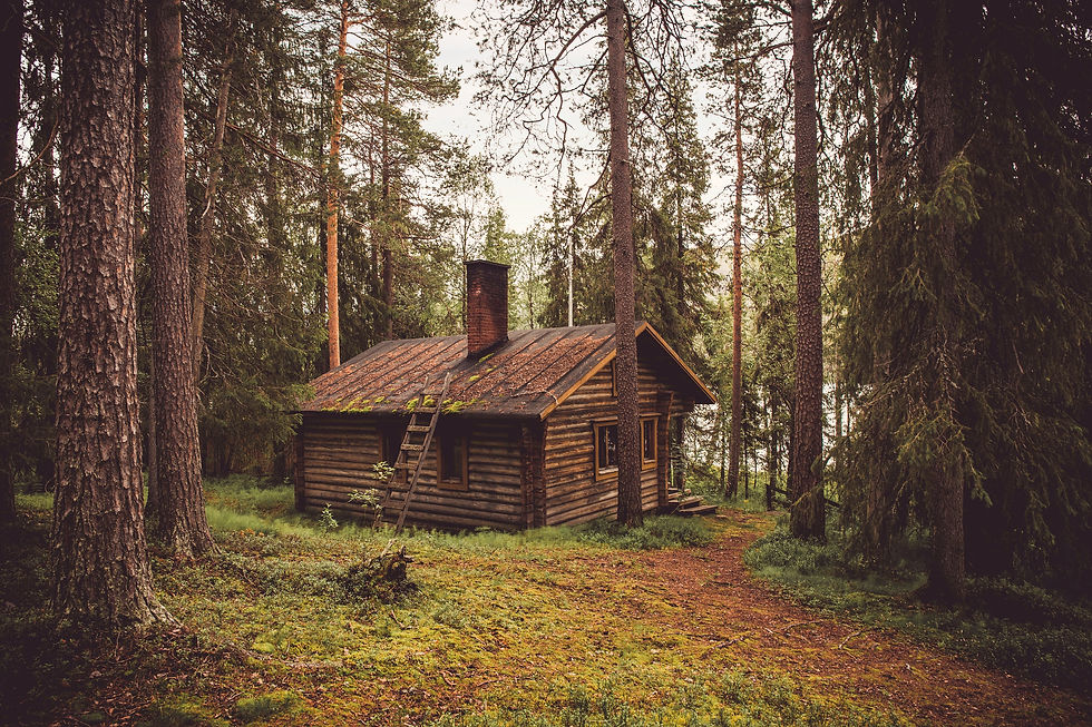 metier-calme-et-seul-cabane-bois