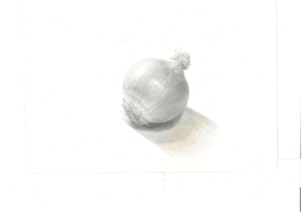 016_玉ねぎその3